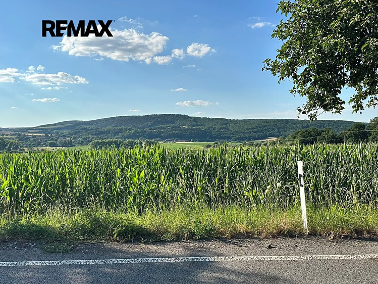 Grundstück zum Kauf, 981 m² (10 von 12)