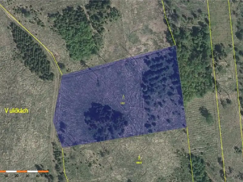 Prodej lesa 8722 m², Vladislav – náhled fotky 3
