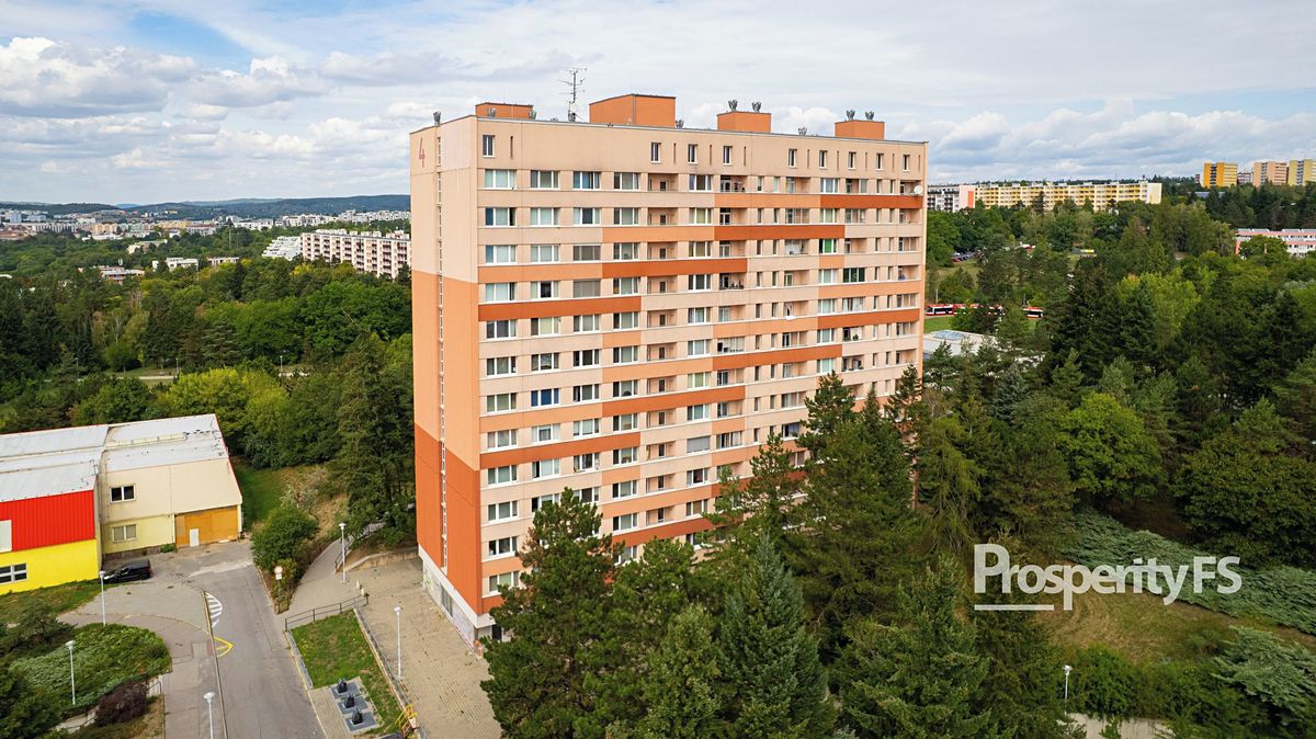 Prodej bytu 1+1 30 m² – fotografie 3