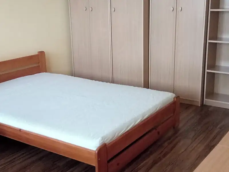 Pronájem bytu 1+kk 29 m², Praha – náhled fotky 3