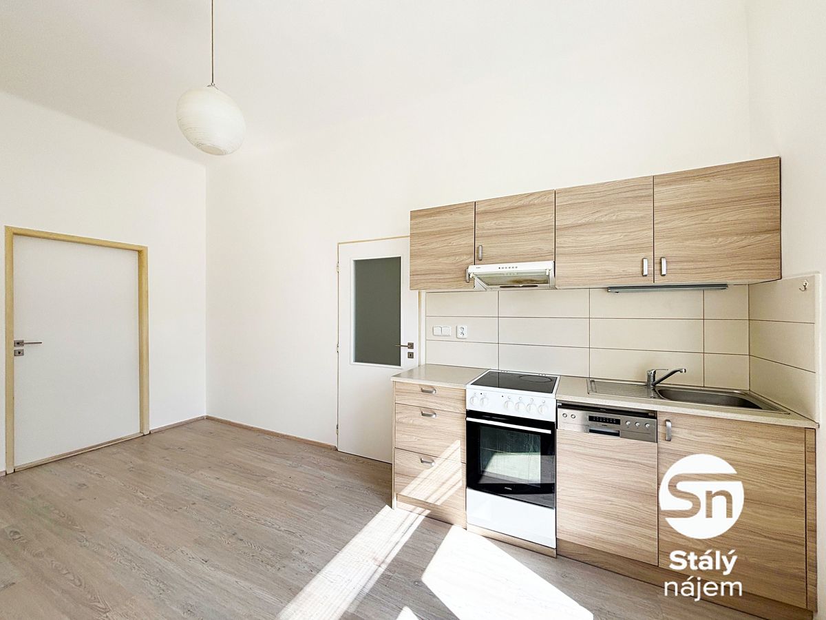 Pronájem bytu 1+1 55 m² – fotografie 4
