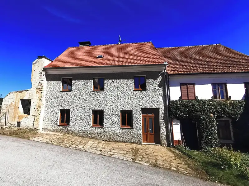Prodej rodinného domu 310 m², pozemek 377 m², Benešov nad Černou – náhled fotky 1