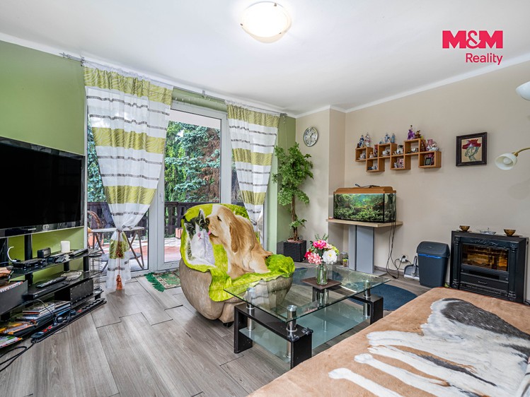 Prodej domu, 370 m² (3 z 17)