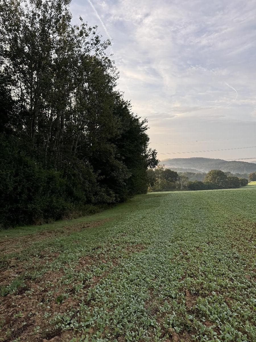 Prodej pozemku 3584 m² – fotografie 3
