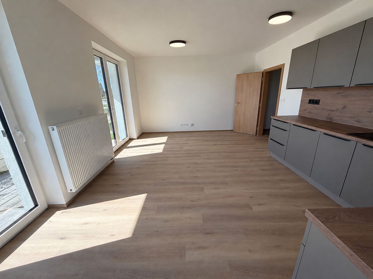 Pronájem bytu 1+kk 39 m² – fotografie 3
