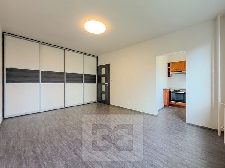 Wohnung 1+kk zur Miete, 31 m² (2 von 10)