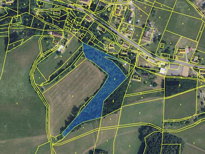 Prodej lesa 9121 m²