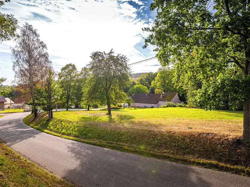 Prodej stavebního pozemku 4931 m², Čestice – náhled fotky 3