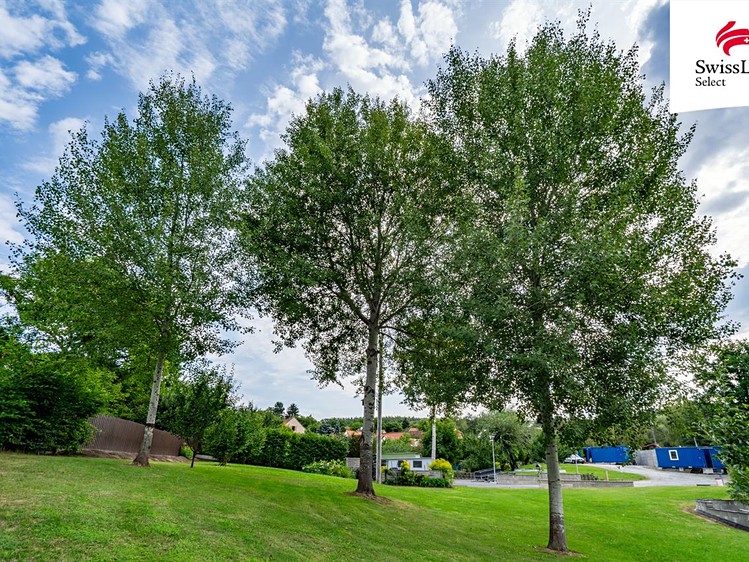 Prodej pozemku, 4 611 m² (6 z 16)