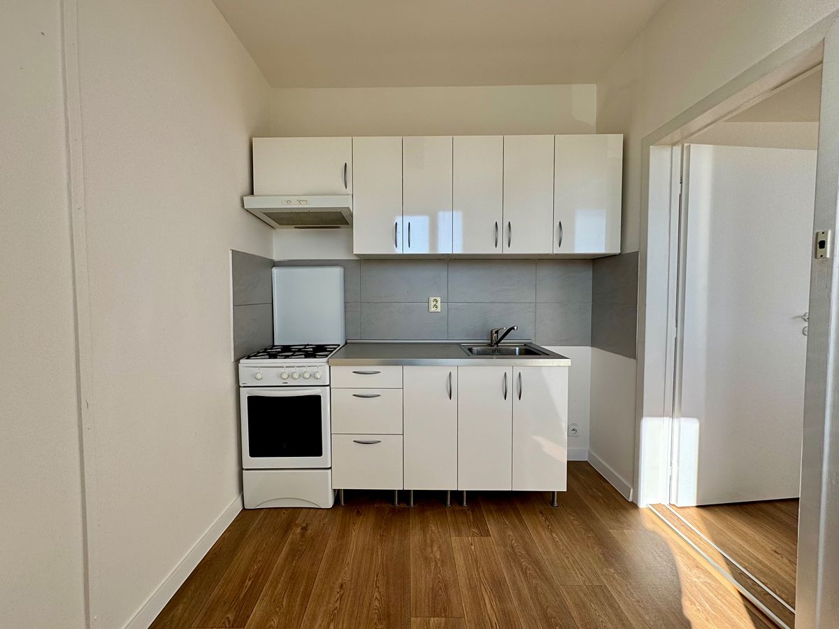 Pronájem bytu 2+1 44 m² – fotografie 3
