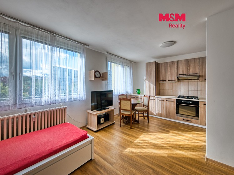 Wohnung 1+kk zum Kauf, 30 m² (1 von 13)
