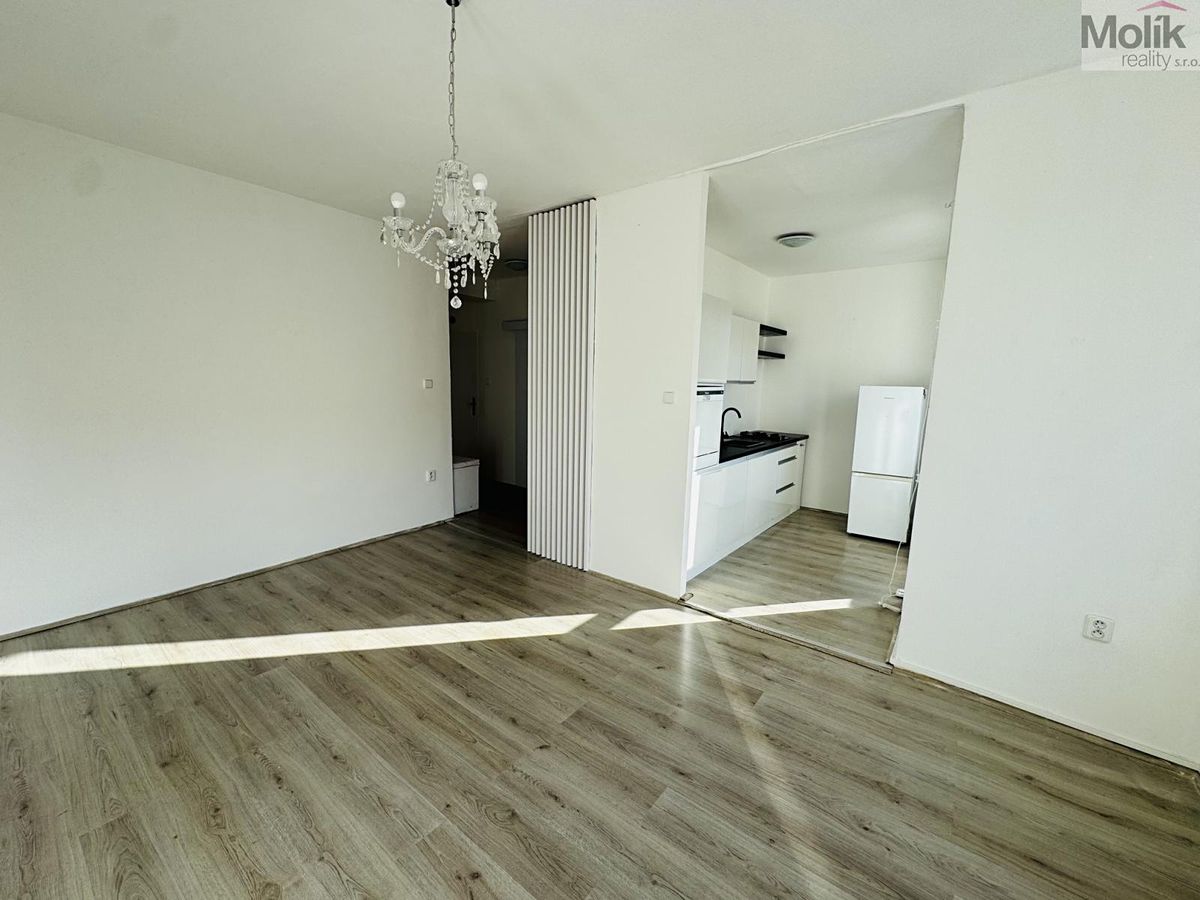 Pronájem bytu 1+1 30 m² – fotografie 4