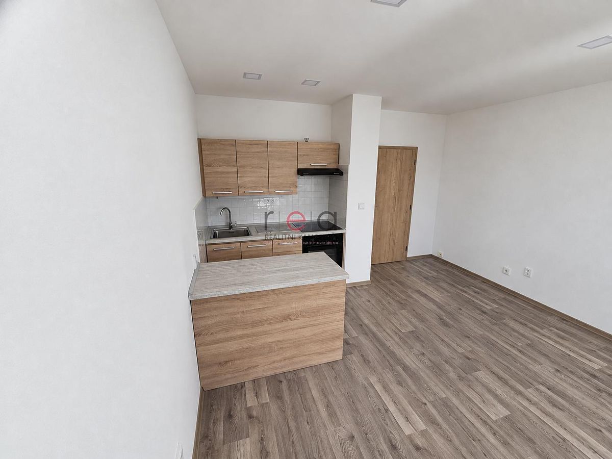 Pronájem bytu 1+1 43 m² – fotografie 5