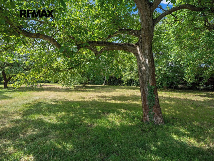Grundstück zum Kauf, 1.063 m² (7 von 13)