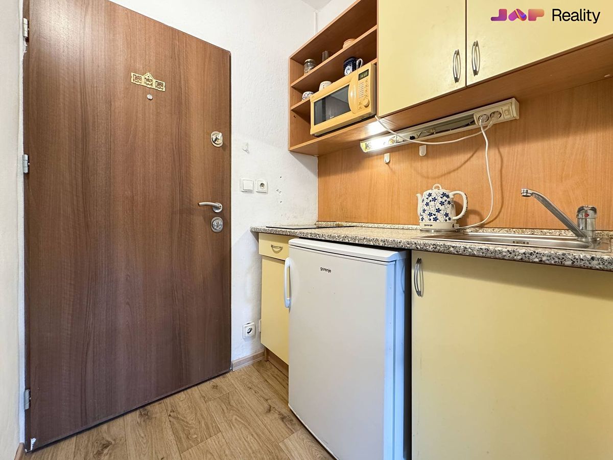 Pronájem bytu 1+kk 20 m² – fotografie 5