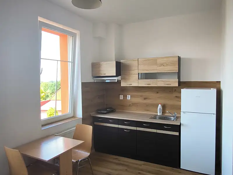 Pronájem bytu 1+kk 25 m², Aš – náhled fotky 3