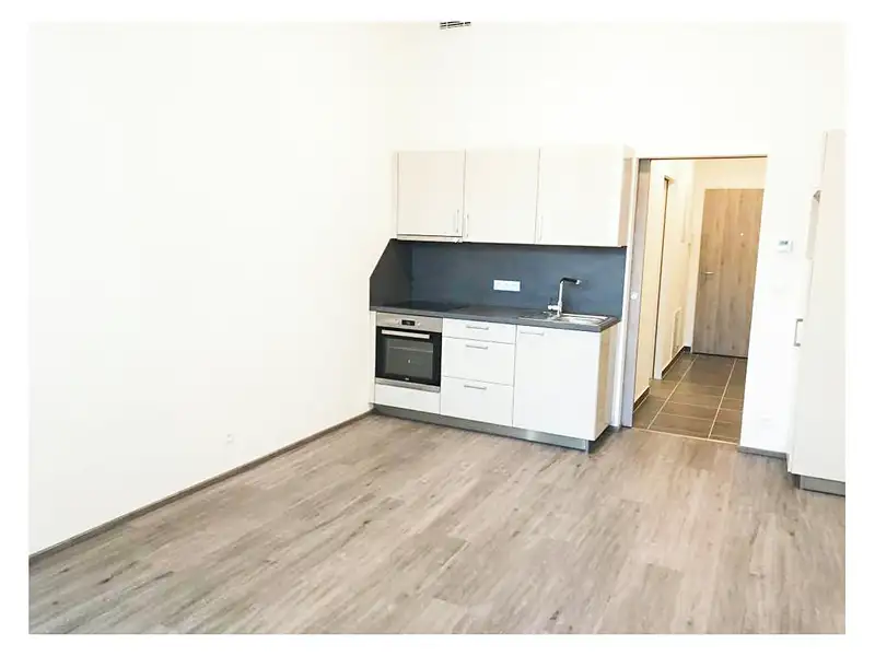 Pronájem bytu 1+kk 37 m², Praha – náhled fotky 2