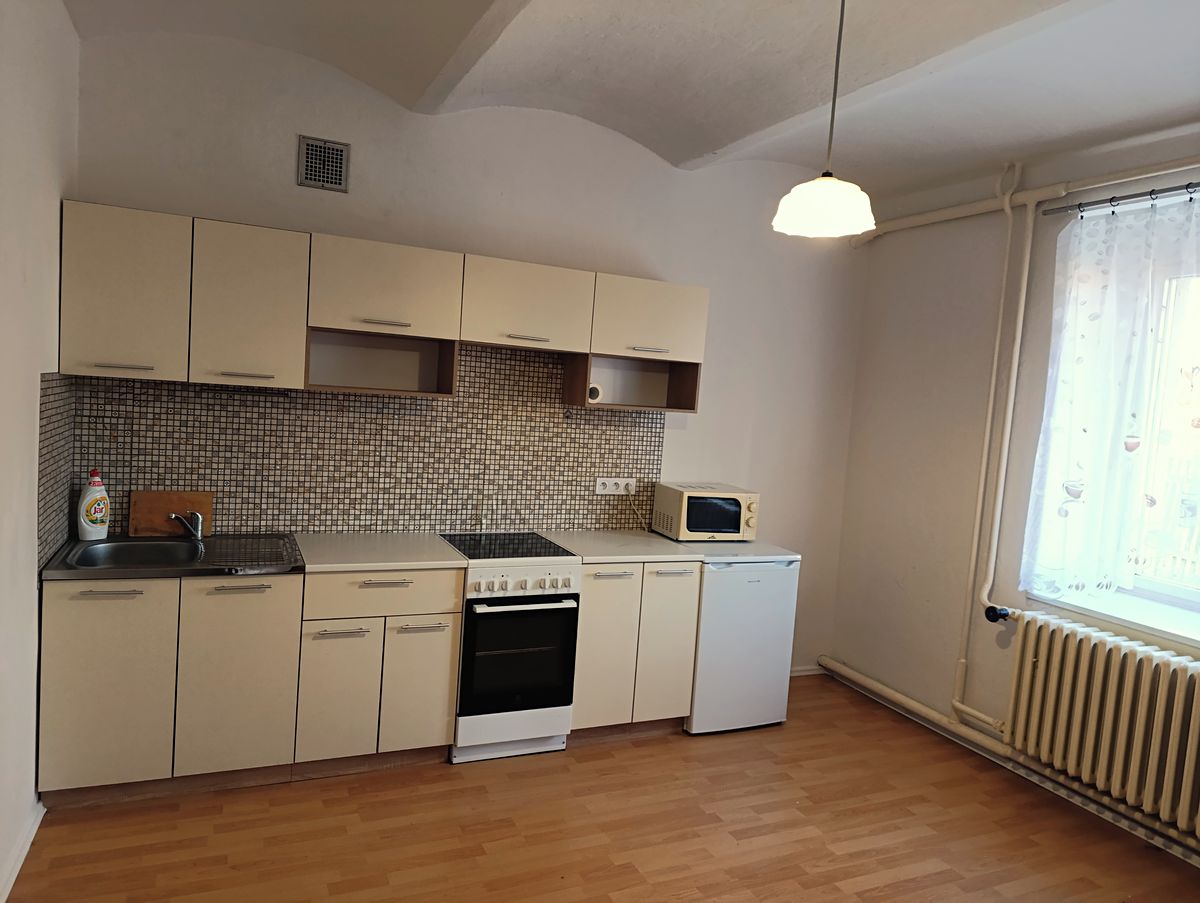 Pronájem zemědělské usedlosti 800 m², pozemek 3500 m² – fotografie 4