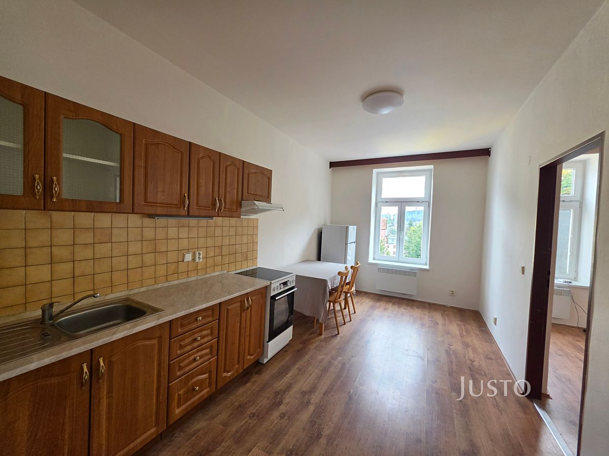 Pronájem bytu 1+1 43 m²