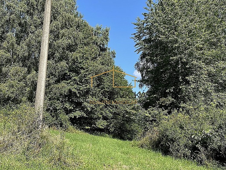 Prodej pozemku, 3 453 m² (8 z 15)