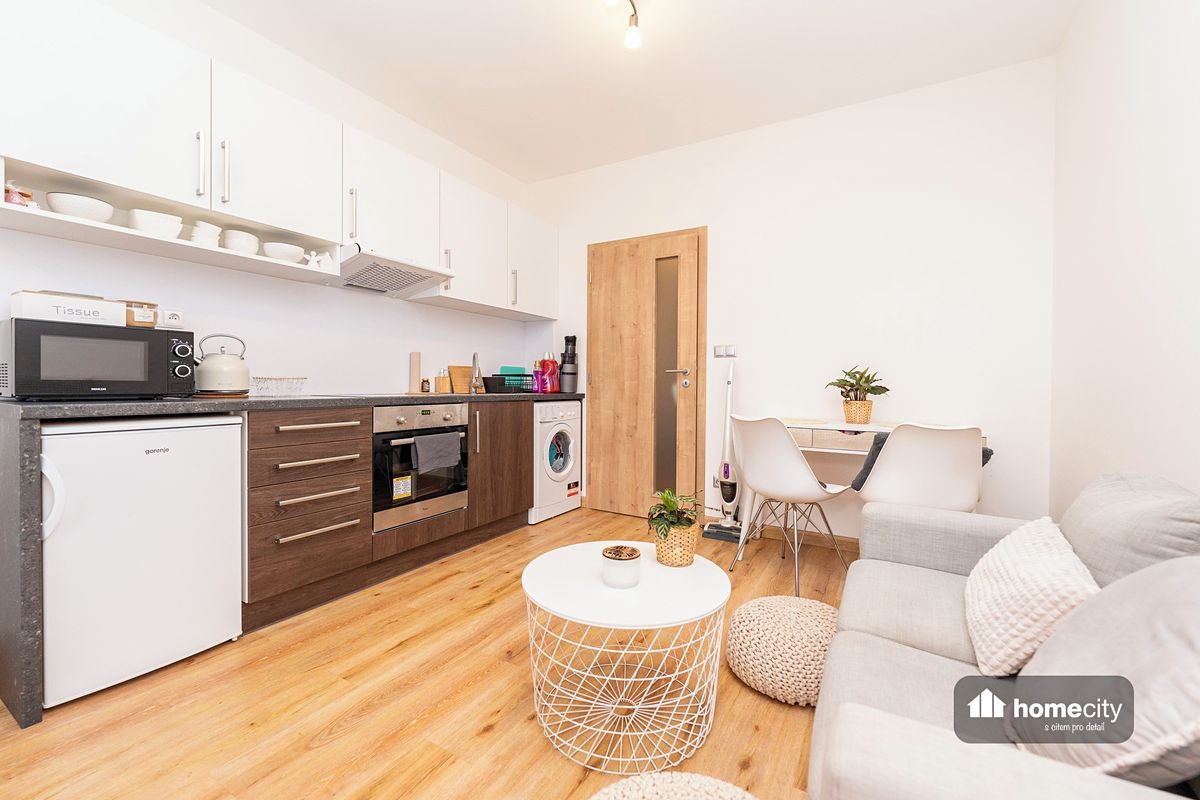 Pronájem bytu 1+kk 30 m² – fotografie 3