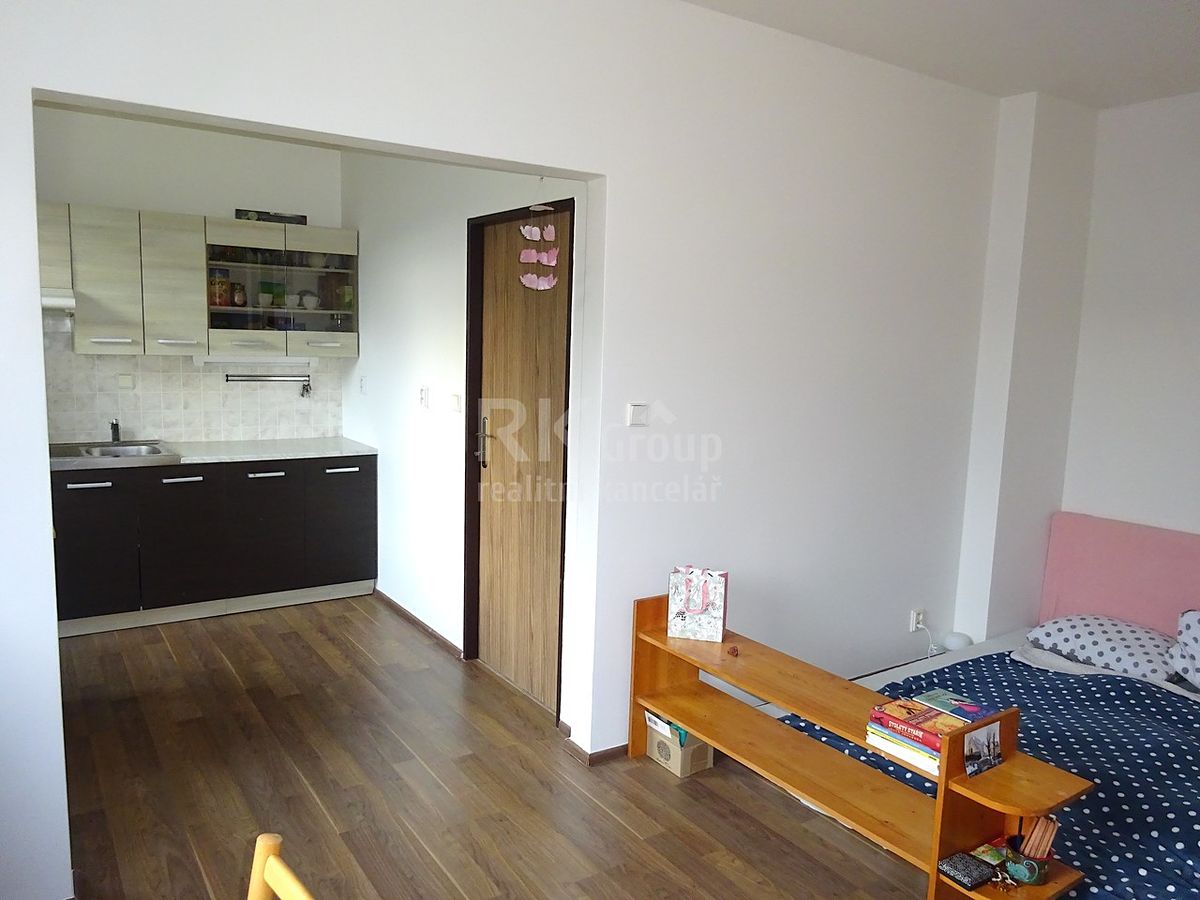 Pronájem bytu 1+kk 40 m² – fotografie 4