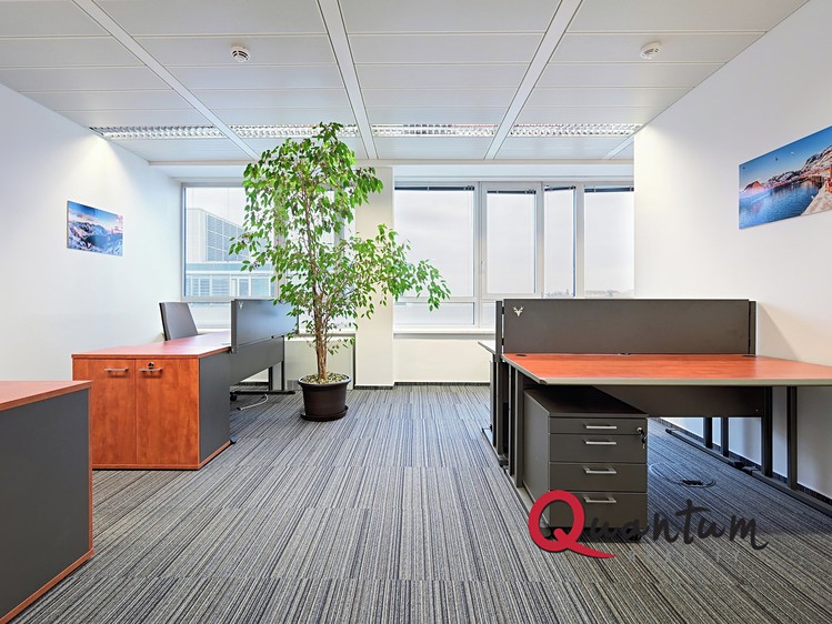 Комерційне приміщення в оренду, 503 м² (11 з 31)