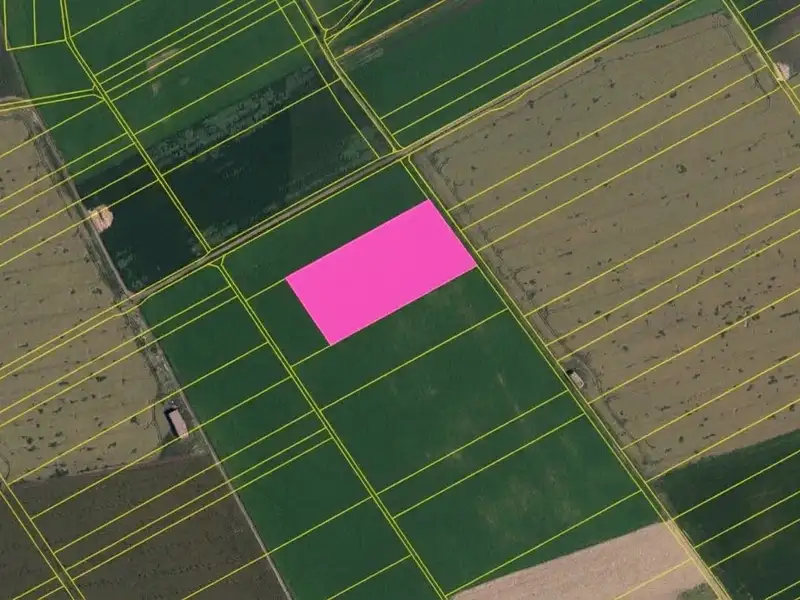 Prodej pole 20288 m², Kovalovice – náhled fotky 3