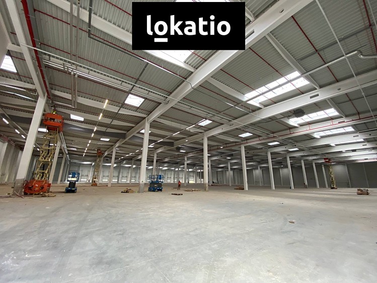 Pronájem komerčního prostoru, 2 000 m² (4 z 6)