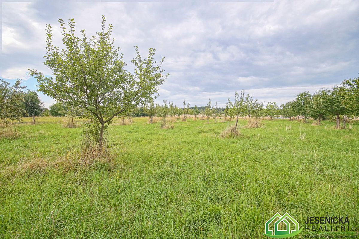 Prodej pole 16809 m² – fotografie 3