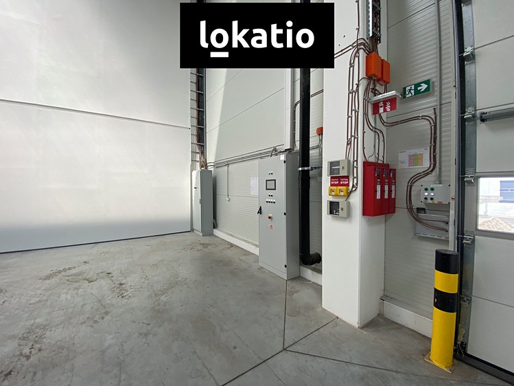 Комерційне приміщення в оренду, 5 195 м² (8 з 10)