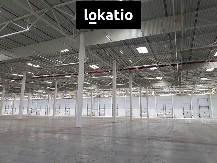 Pronájem komerčního prostoru, 19 910 m² (10 z 13)