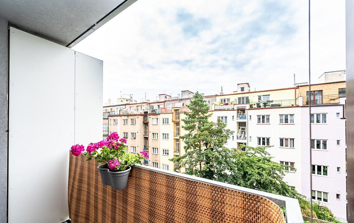 Pronájem bytu 2+kk 65 m² – fotografie 5