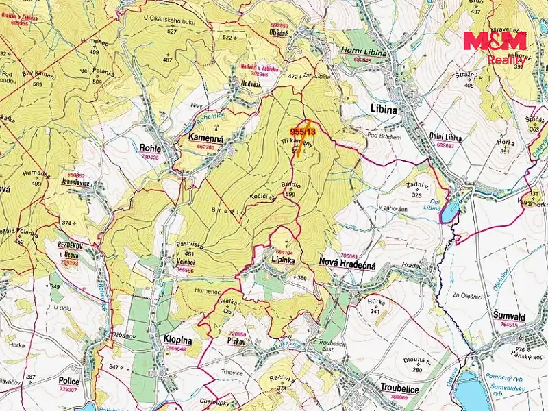Prodej lesa 5695 m², Nová Hradečná – náhled fotky 2