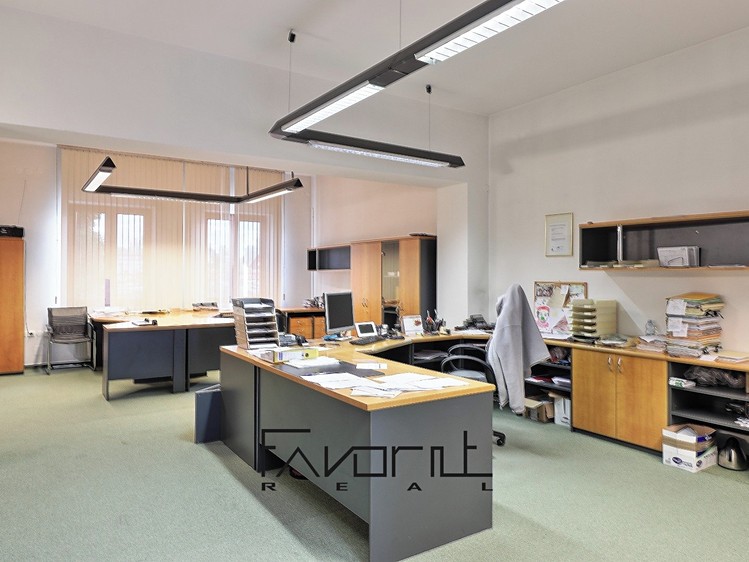 Gewerbefläche zum Kauf, 225 m² (14 von 28)