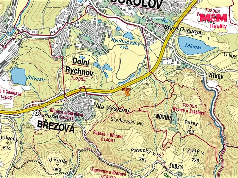 Prodej lesa 13827 m², Dolní Rychnov – náhled fotky 3