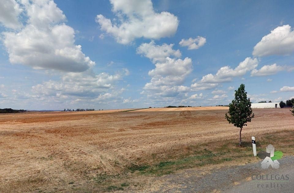 Prodej pole 6915 m²