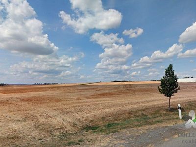 Prodej pole 6915 m²
