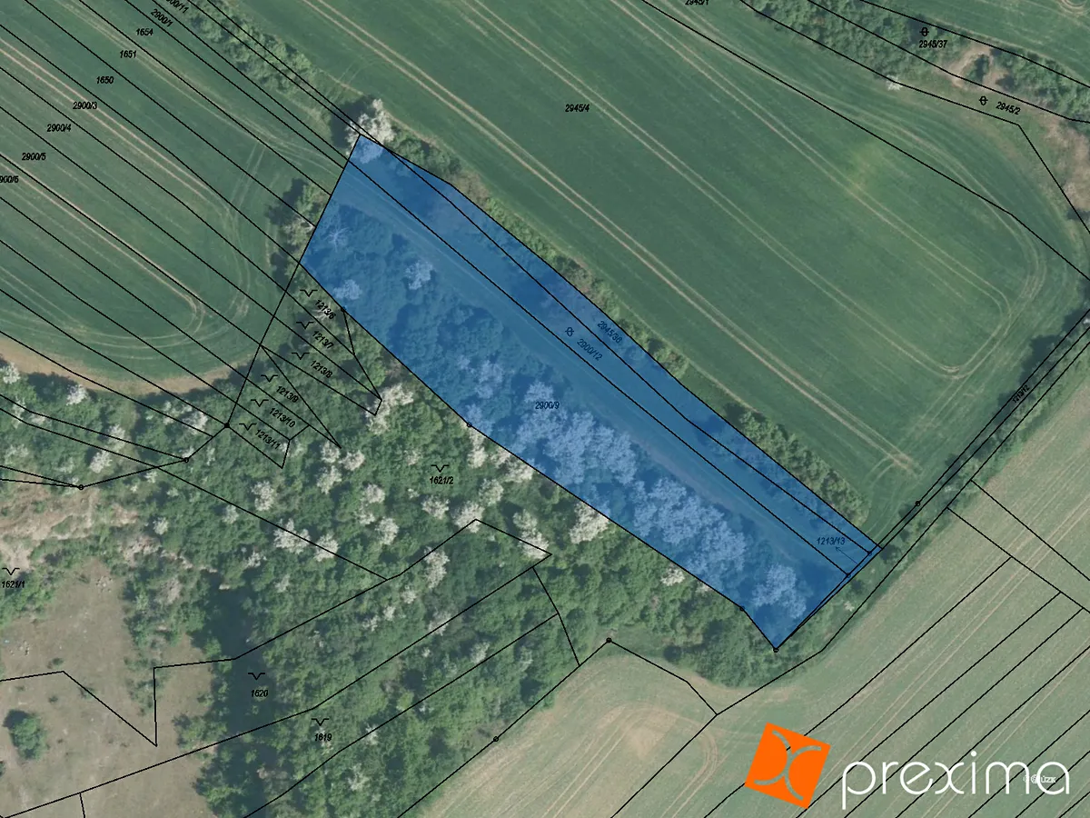 Prodej podílu 1/2 pole 2942 m²
