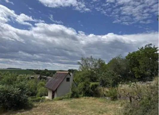 Dražba pole 3216 m²