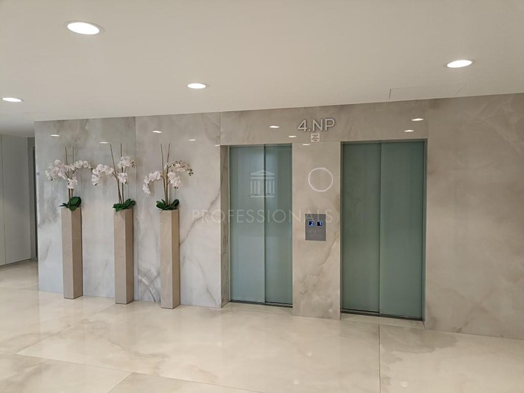 Pronájem komerčního prostoru, 137 m² (4 z 6)