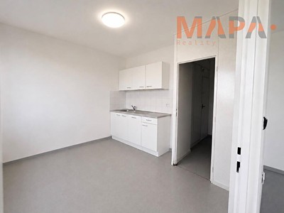 Prodej bytu 1+1 33 m²