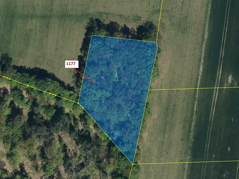 Dražba lesa 4658 m², Vlčí Habřina – náhled fotky 2