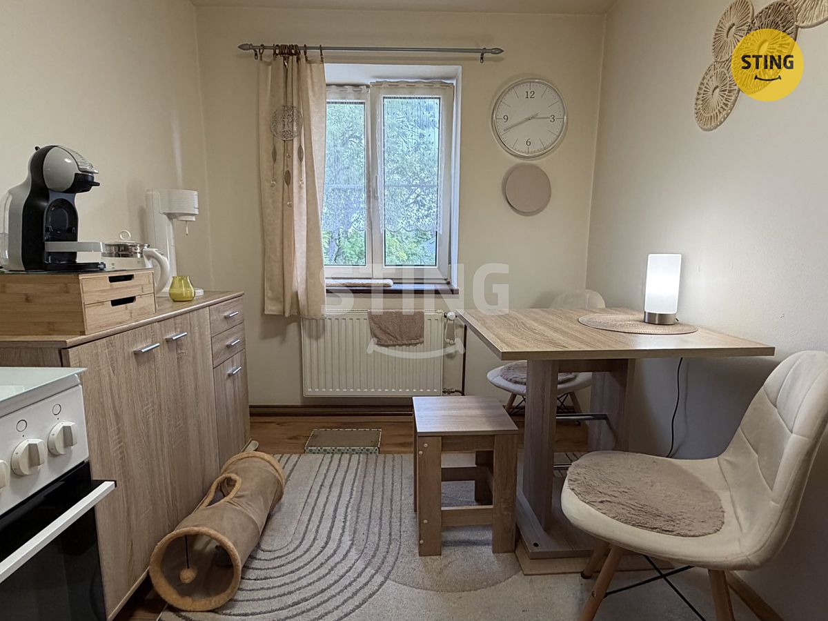 Pronájem bytu 1+1 30 m² – fotografie 3