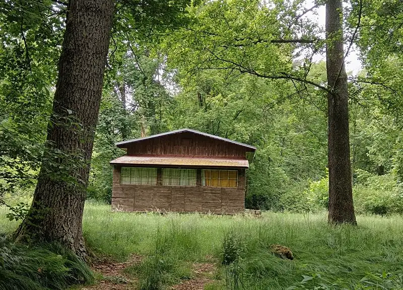 Prodej chaty 60 m², pozemek 205 m², Odrava – náhled fotky 2