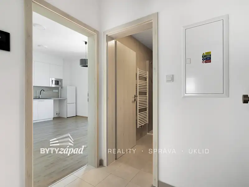 Pronájem bytu 1+kk 25 m², Plzeň – náhled fotky 3