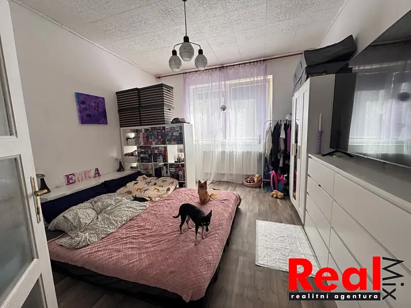 Prodej rodinného domu 125 m², pozemek 196 m², Brno – náhled fotky 3