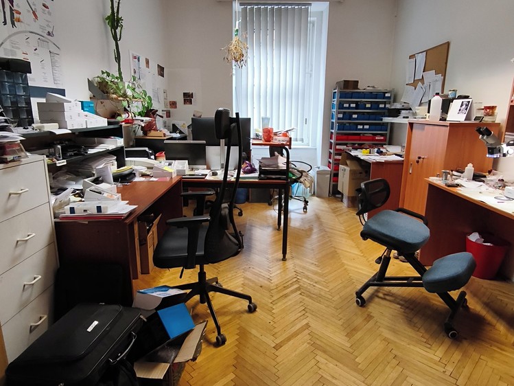 Prodej komerčního prostoru, 141 m² (6 z 19)
