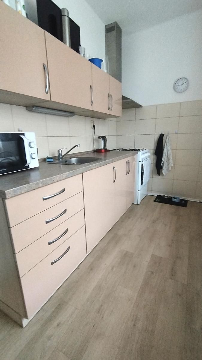 Pronájem bytu 2+1 54 m² – fotografie 2