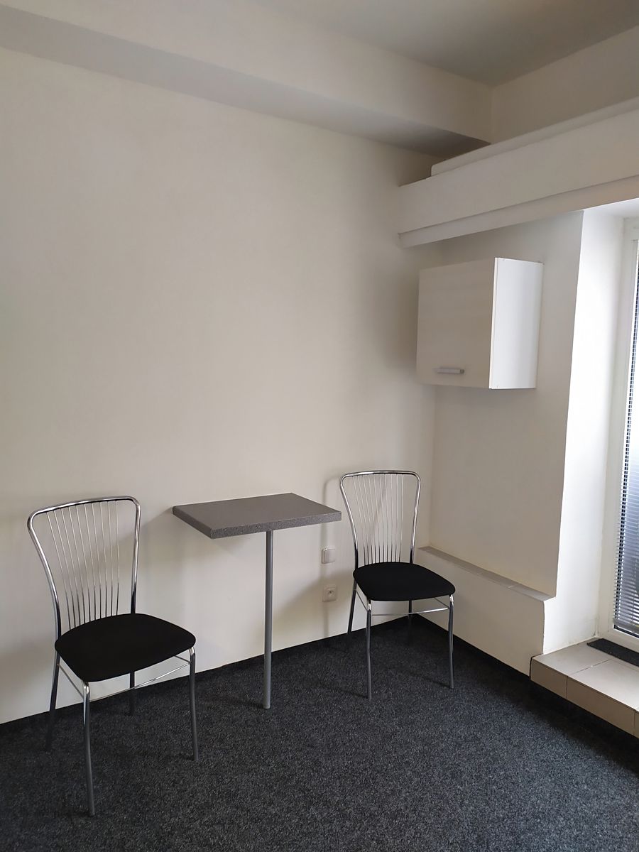 Pronájem bytu 1+kk 28 m² – fotografie 4